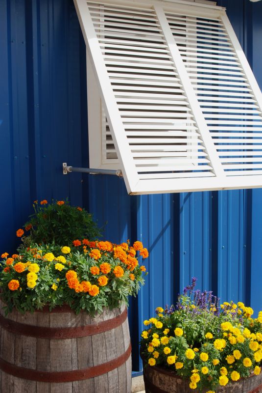Shutters Installation in Longmont, CO