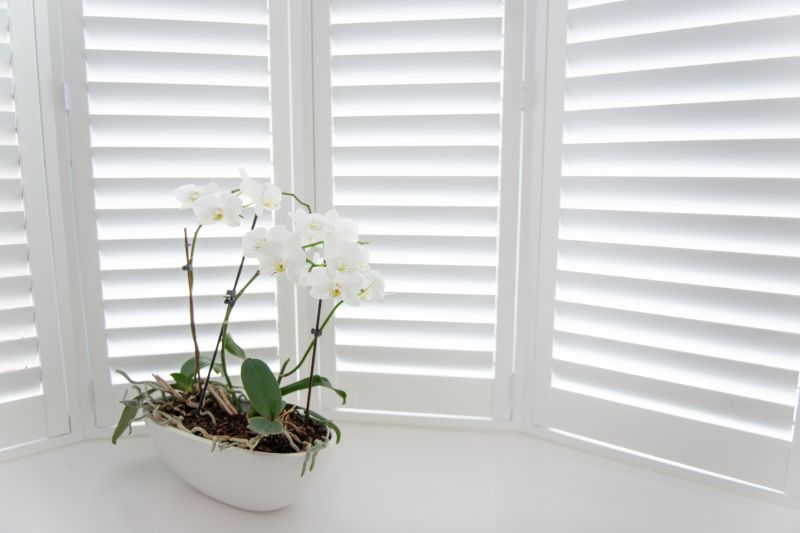 Window Shutters Replacement in Overland Park, KS